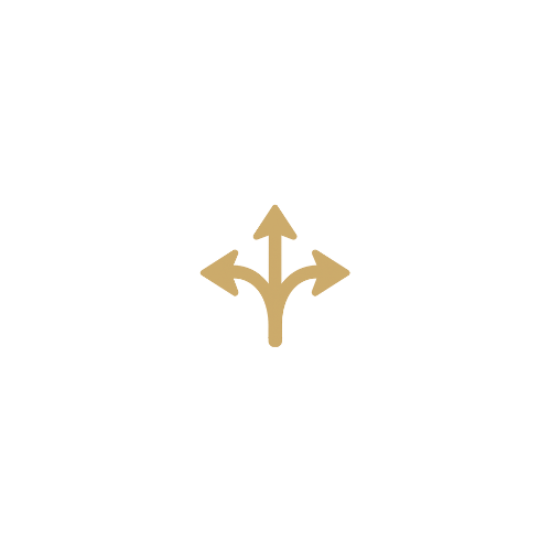 pfeil  icon v4