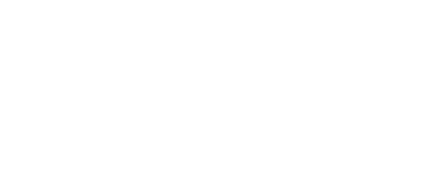 schau dir diese hs web-1